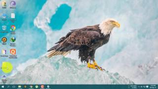How to download BitTorrent Pro 7 9 9