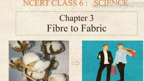 NCERT Class 6 Science Chapter - 3 Fibre to fabric