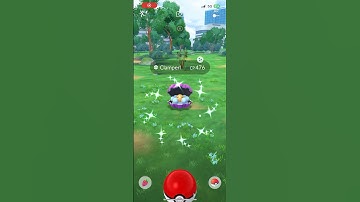 Shiny Clamperl #shinypokemon #shiny #pokemongo #clamperl