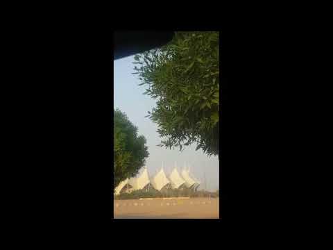الدب الداشر محمد بن سلمان أمر بقتل جمال خاشقجي