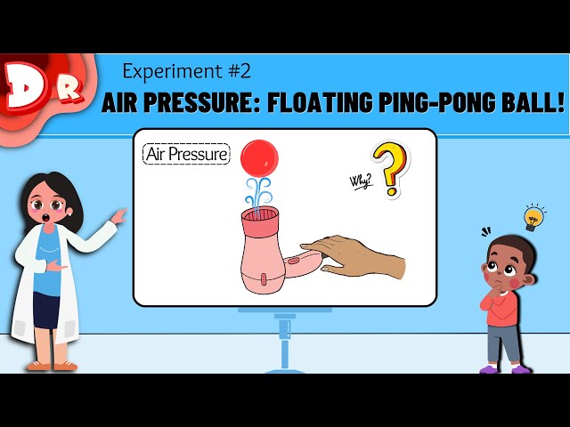 How To Make A Ping Pong Ball Float In The Air - Science ProjectsHow To Make  Science Projects For Kids