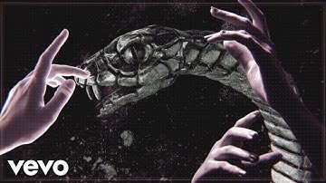 Throw The Fight - Snake Mountain (Official Video)