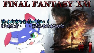 【＃1/FINALFANTASY XVI】　内容を全く知らないので難易度どしようかな