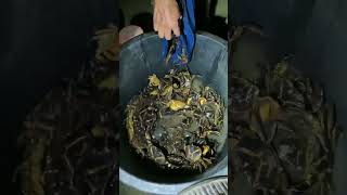 crab #   short  # video please subscribe me