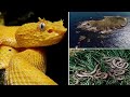 11 Most Dangerous Places on Earth