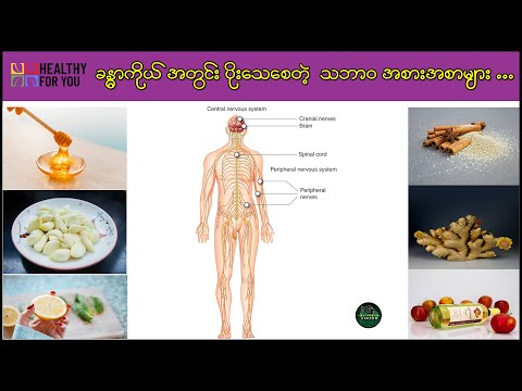 ခန္ဓာကိုယ်အတွင်း ပိုးသေစေတဲ့ သဘာဝအစားအစာများ ( Healthy For You Myanmar )