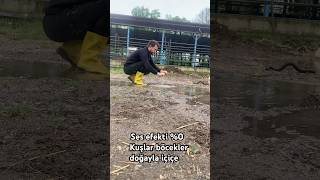 Destekleriniz için teşekkür ederim #keşfet 🙏🙏🙏🙏🙏🙏🙏🙏 #automobile