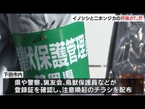 静岡県 ニホンジカとイノシシの狩猟解禁 動物愛誤 農業損害 經濟損害 製造車禍 傷人 人身被害 アニマルホーダー 動物囤積症 Animal Hoarding トキソプラズマ 狂犬病 Youtube 静岡県 ニホンジカとイノシシの狩猟解禁 動物愛誤 農業損害 經濟損害 製造車禍 傷人 人身被害 アニマルホーダー 動物囤積症 Animal Hoarding トキソプラズマ 狂犬病 Youtube