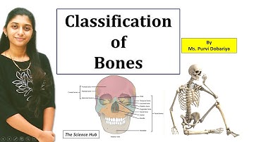 Part - 2 | Classification of Bones | Unit 10 | UGC NET Forensic Sciences