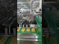 CP120 Automatic Cartoner#machine #packaging