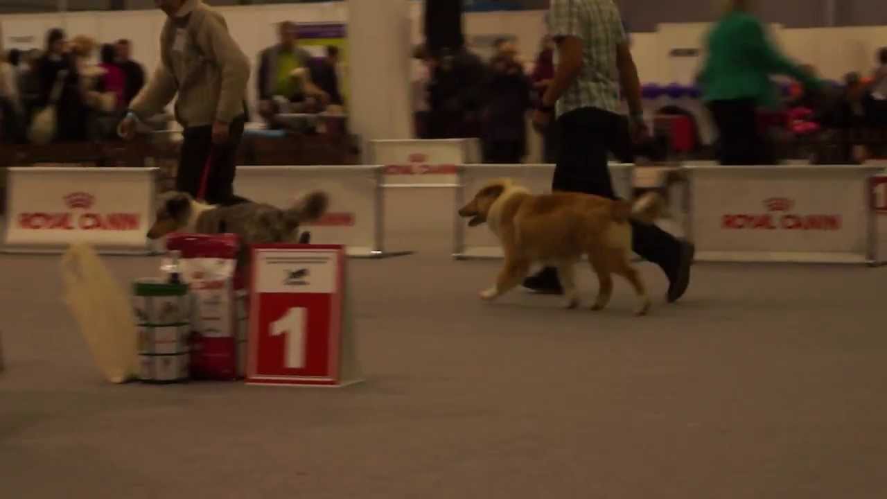 Инканто дель мондо питомник. Моно пермь. Моно пермь. Моно пермь. Моно пермь.