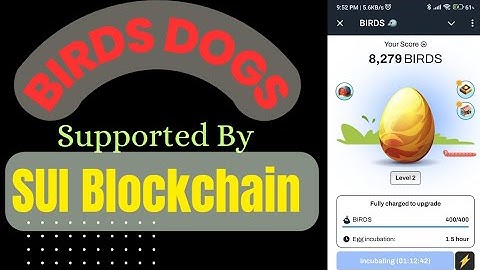 SUI Blockchain Supported Project || Birds Dogs mining || Onchain Project || ভালো প্রফিট করতে পারবেন