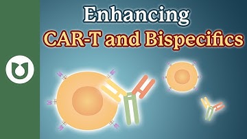Boosting the Power of CAR-T and Bispecifics in Myeloma | What’s Being Done to Improve Response?