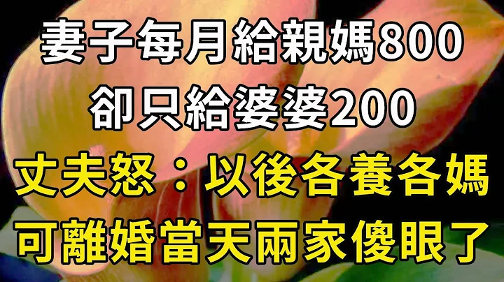 妻子每月給親媽800，卻只給婆婆200，丈夫大怒：以後各養各媽，可離婚當天兩家傻眼了【翠花的秘密】 - 天天要聞