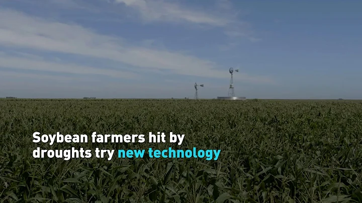 Soybean farmers hit by droughts try new technology