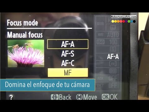Video: Cómo Funciona El Enfoque Automático