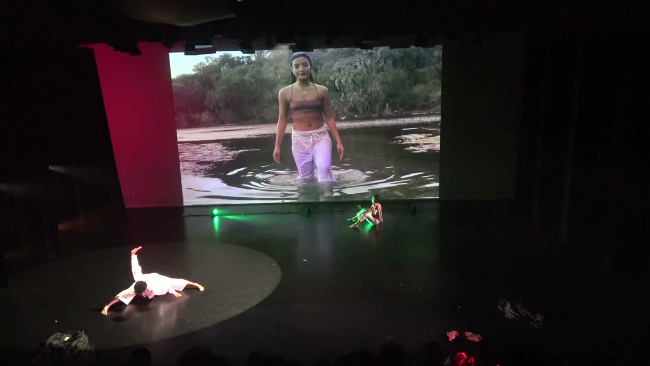 All Videos