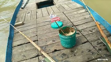 Câu cá lăng mùa nước đổ phần 2