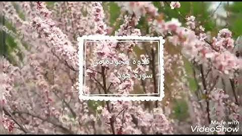 تلاوة مجودة من سورة هود