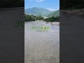 Let the river rinse the noise. #rishikesh #nature #shorts #video #mountains #views #riverside