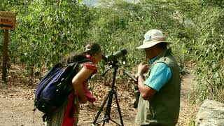 Atitlán birding Guatemala por Viatori