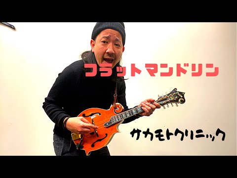 フラットマンドリン 最初のコード編 - YouTube