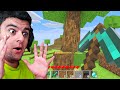 MINECRAFT მაგრამ არ არის MINECRAFT???