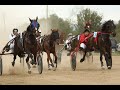 #Trotter horse breed, Bulgaria – Voinqgovo  #Войнягово даде старт на конете от Рисиста порода  2021