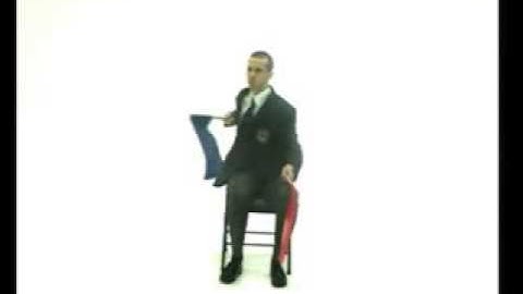 Judge s Signals   Karate Refereeing Videos