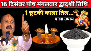 16 दिसंबर पौष मंगलवार द्वादशी तिथि के दिन 1 छुटकी काला तिल वाला उपाय जरुर करे || Pradeep Ji Mishra..
