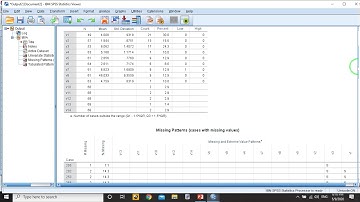 Data Analysis: Cleaning and preparing data in SPSS (2/2)