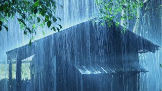 Get Over Insomnia with Heavy Pouring Rain & Huge Thunder Sounds on Metal Roof of Farmhouse At Night