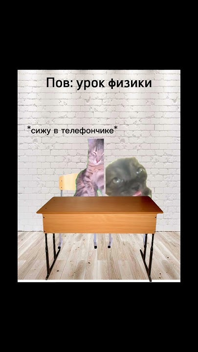 #коты #котики #меме #мем #футаж #школа #физика - YouTube