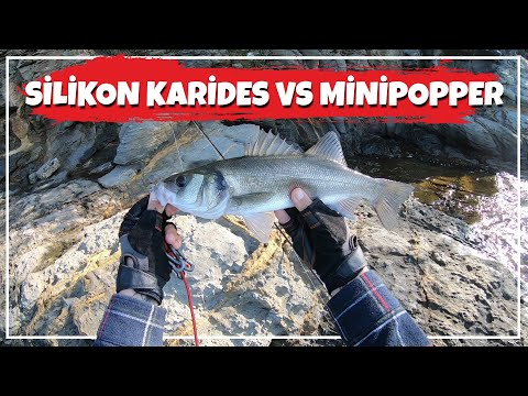 SİLİKON KARİDES VS MİNİ POPPER