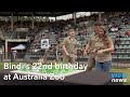 Bindi Irwin celebrates 22nd Birthday at Australia Zoo