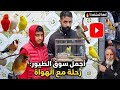 سوق القريعة الطيور 💥 الدار البيضاء 🦜 عشاق طيور أجي نتولعو 👍