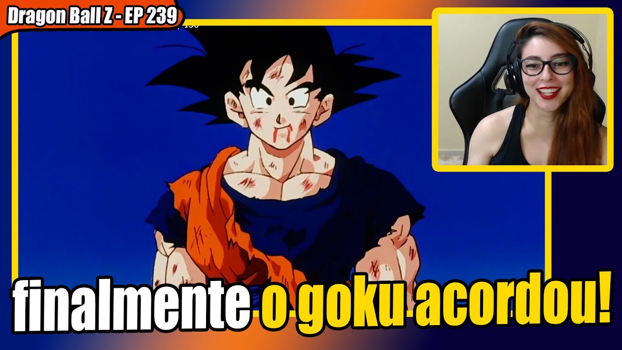 Assistir Dragon Ball Z Dublado Episodio 240 Online