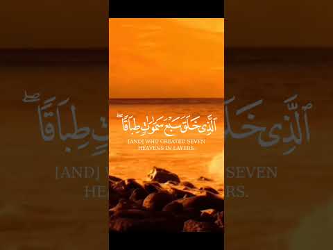 اشتراك ولايك من فضلكم