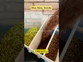 Want a CLUTTER-FREE Kitchen? Try This 6-Grid Wall-Mounted Dispenser