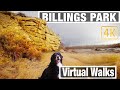 Virtual Walk in Billings MT - Virtual Walking Trails for Treadmill - City Walks - 4K - Montana Walks