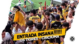 Os Tigres | Entrada da banda - Criciúma 1 x 0 São Paulo