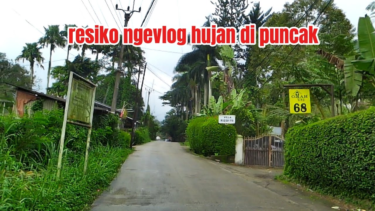 Hujan gerimis di puncak nemu cafe gak ada yang jaga