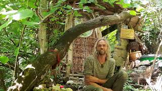 Martin Fuchs - Leben im Wald - Stellungnahme
