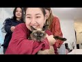 Faces of Xinjiang: "Мен ырды сүйөм" - Ырчы Акидан | ЖУҢГО ШИНЖАҢ радио теле станциясы