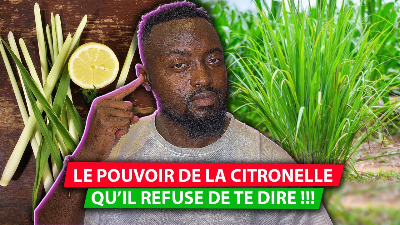 LA CITRONNELLE DÉTRUIT les mauvais sorts en 7 jours !