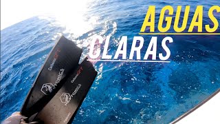 Clear Waters #love #spearfishing #viral #fypシ #salvimar #cressi #fyp #clearwater #ocean #amor #viral