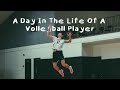 A day in the life of a volleyball player  game day