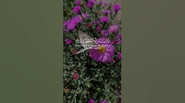 تلاوة خاشعة من سورة النجم | فلا أقسم بمواقع النجوم | عبد العزيز سحيم