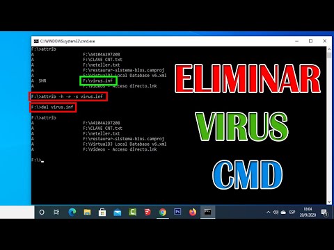 Video: Cómo Eliminar Virus Ocultos