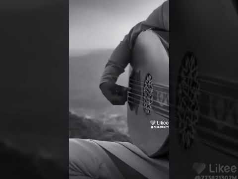 نادر الجرادي يوووووووه حياه وقوا